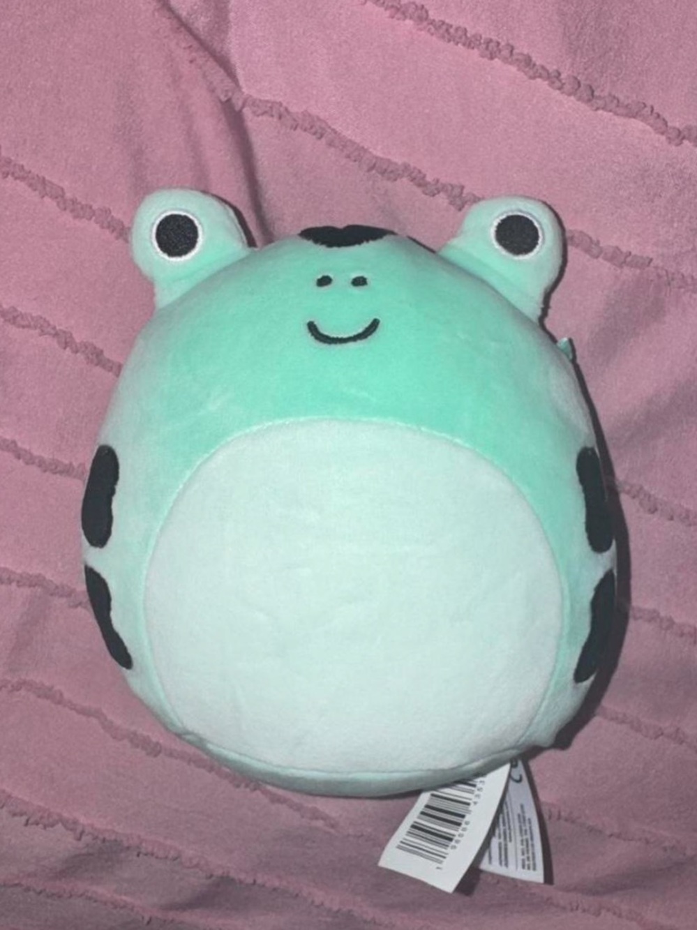 Squishmallows Mint Green Frog Plush with White Tag Detail